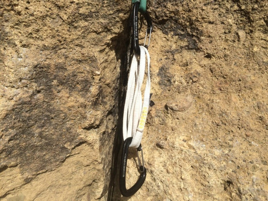 Pur Anneau Sling