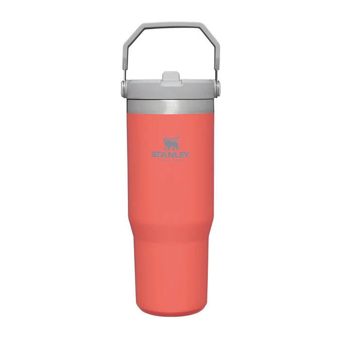 Iceflow Flip Straw 0.89l Guava