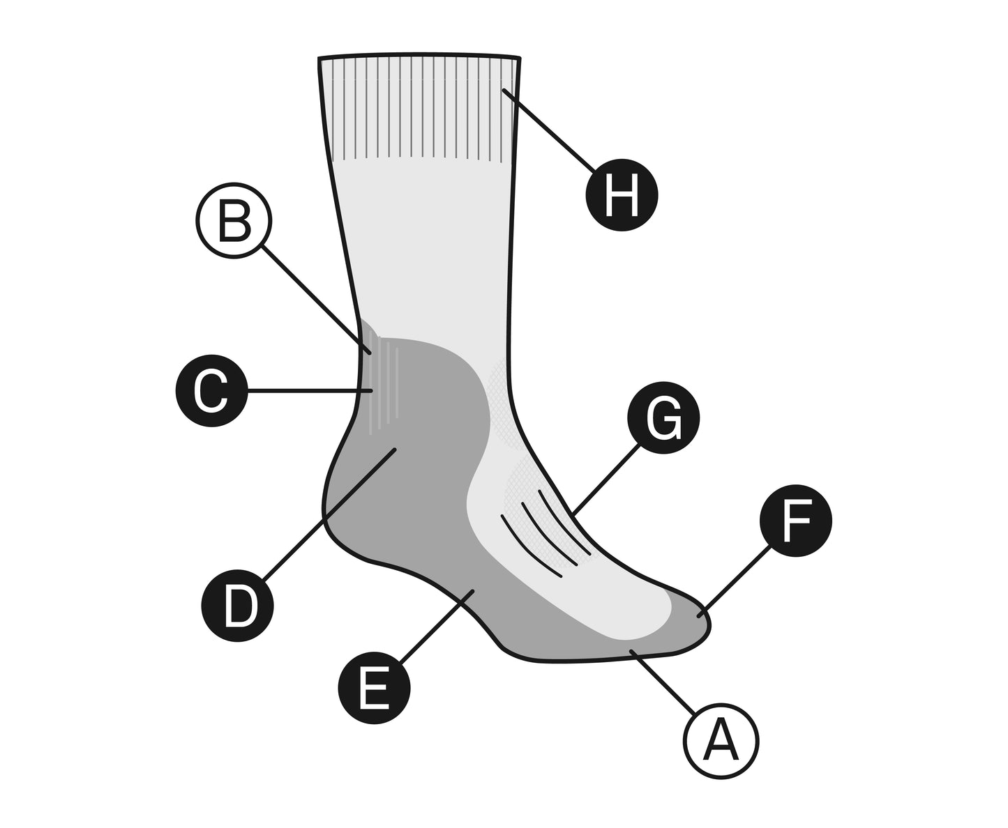 Men's Merino Hike+ Light Crew Socks