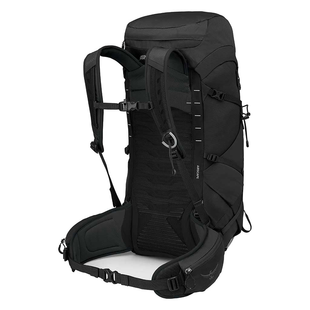 Talon 33