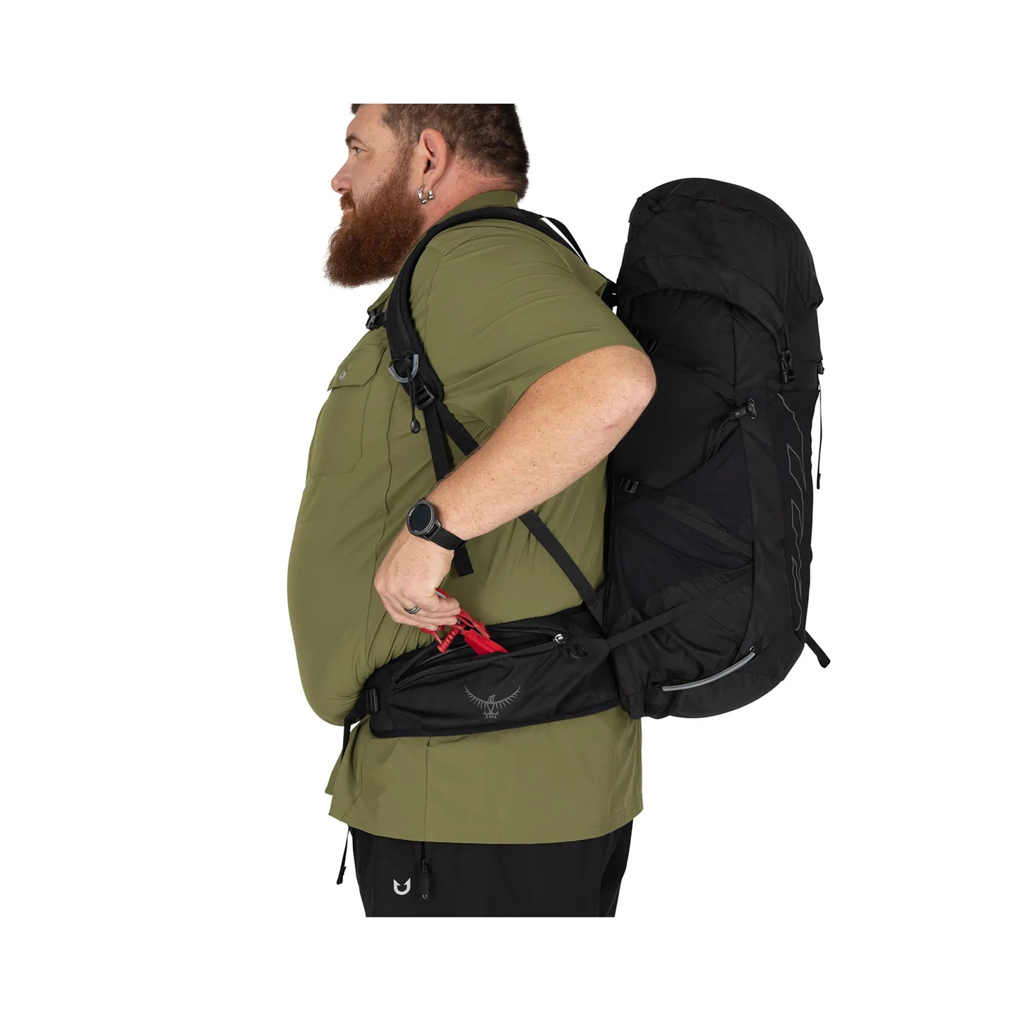 Talon 33