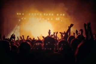 Festival Bundles