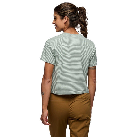 Womens BD Stripe Crop Short Sleeve Tee