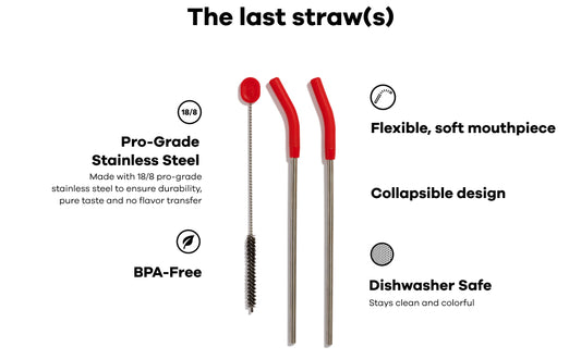 Stainless Steel Straw Set