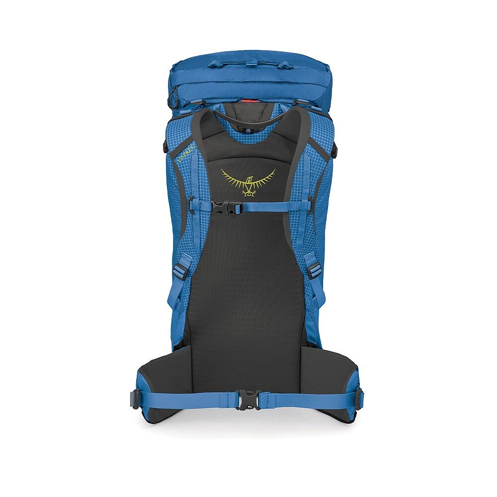 Mutant 38L