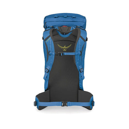 Mutant 38L