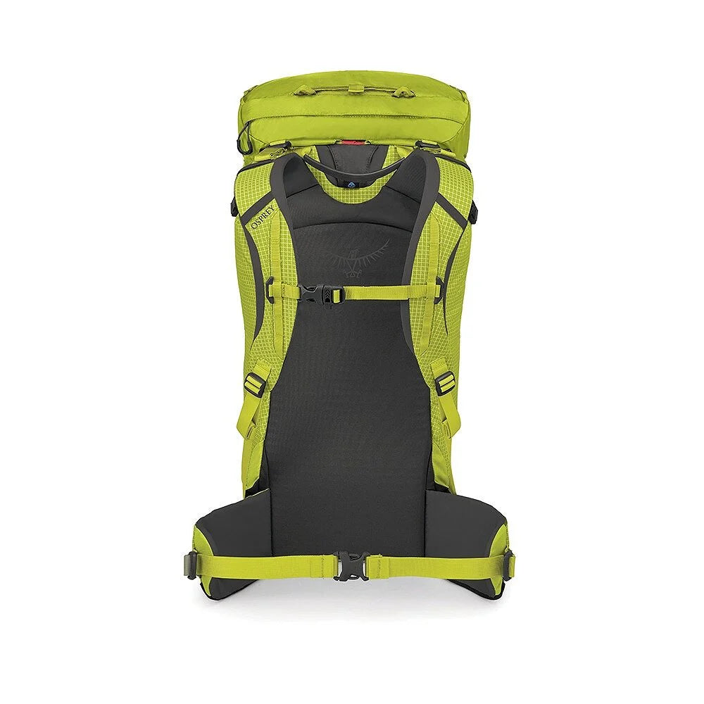 Mutant 38L