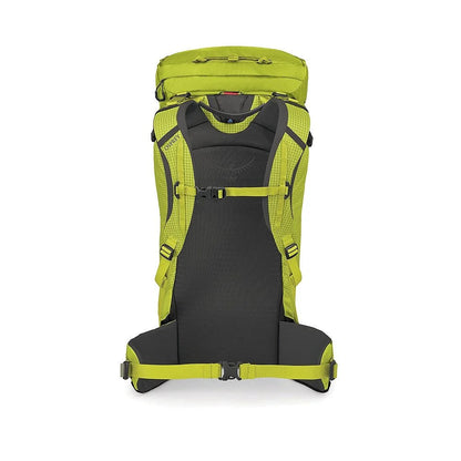 Mutant 38L