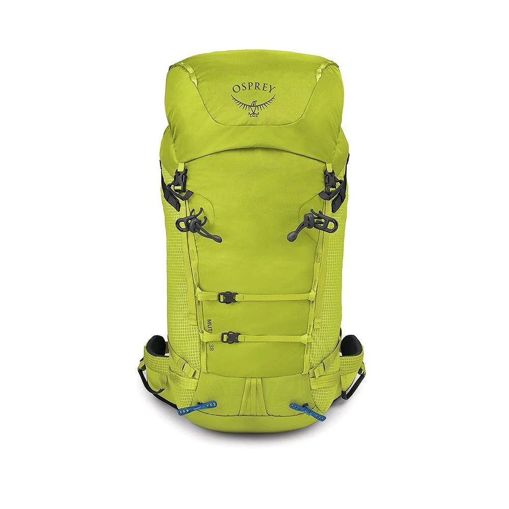 Mutant 38L