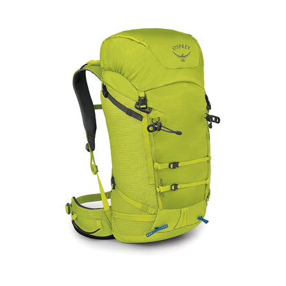 Mutant 38L