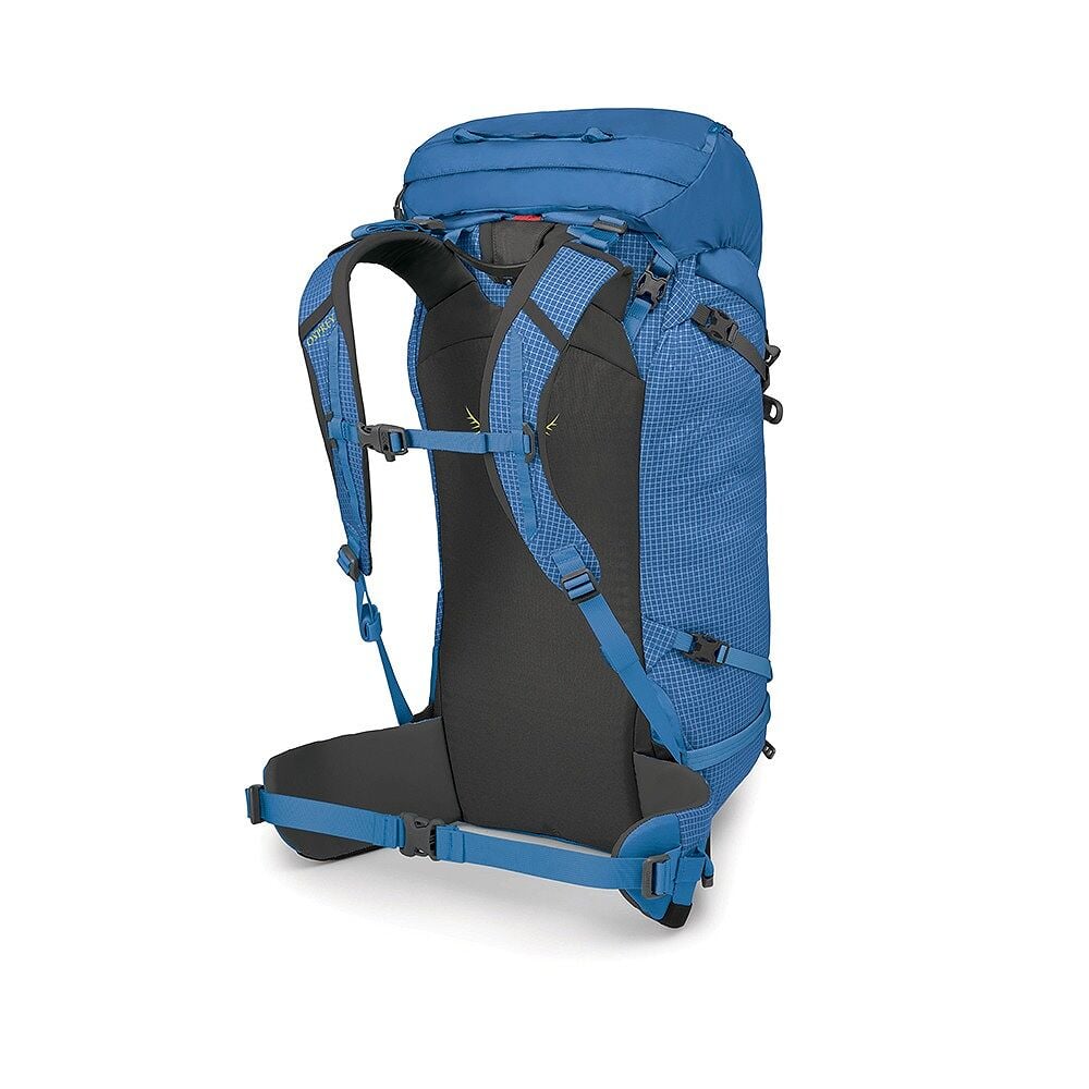 Mutant 38L