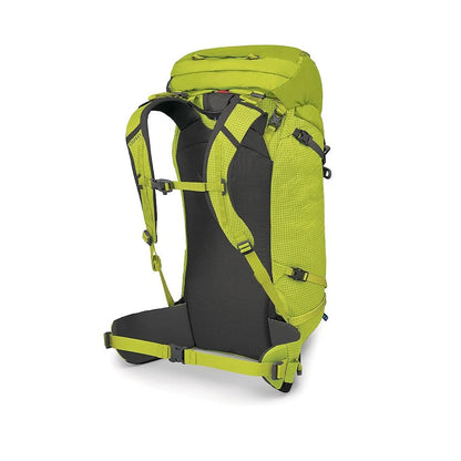 Mutant 38L