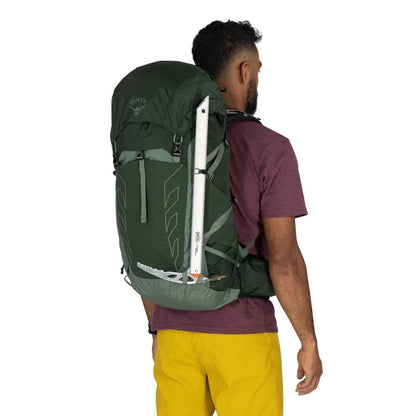 Talon 33L