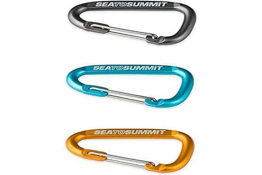 Accessory Carabiner